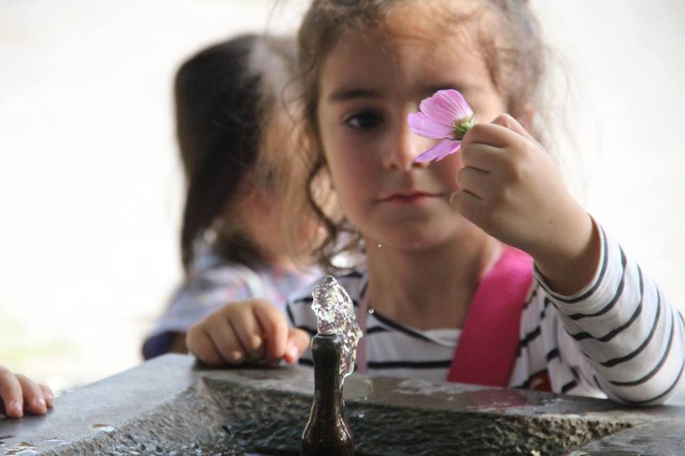 42947446_2156228157734275_5129617975782932480_o